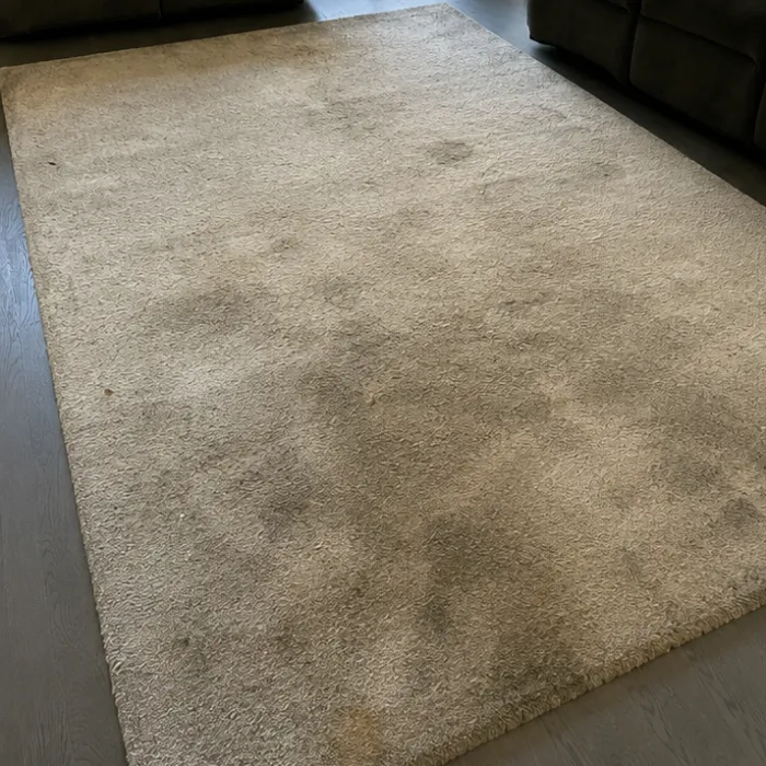 Area rug with embedded dirt and stains before professional cleaning