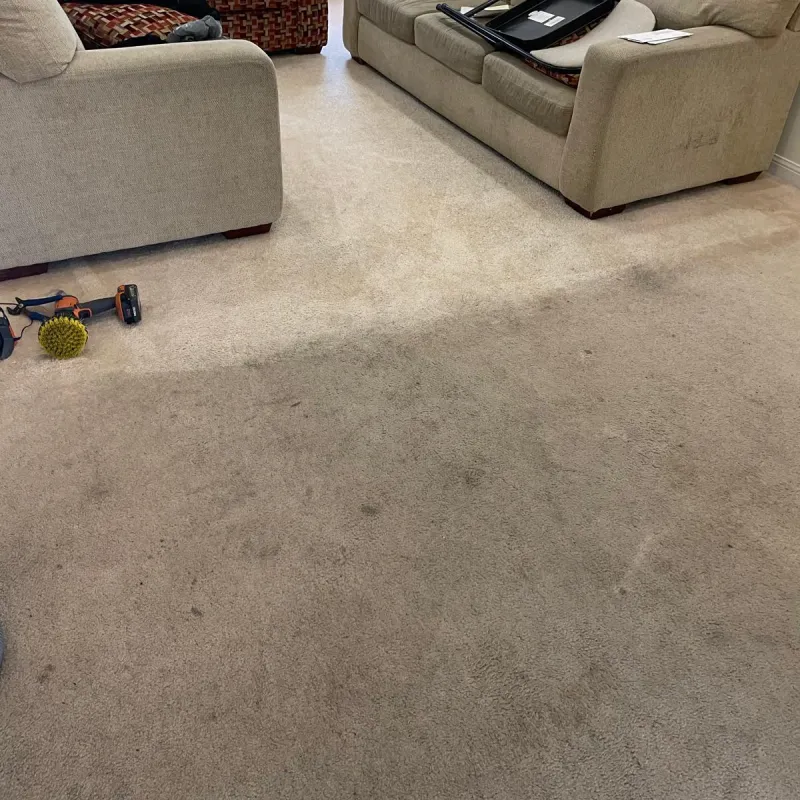 Bedroom carpet with yellow stains around furniture before professional cleaning