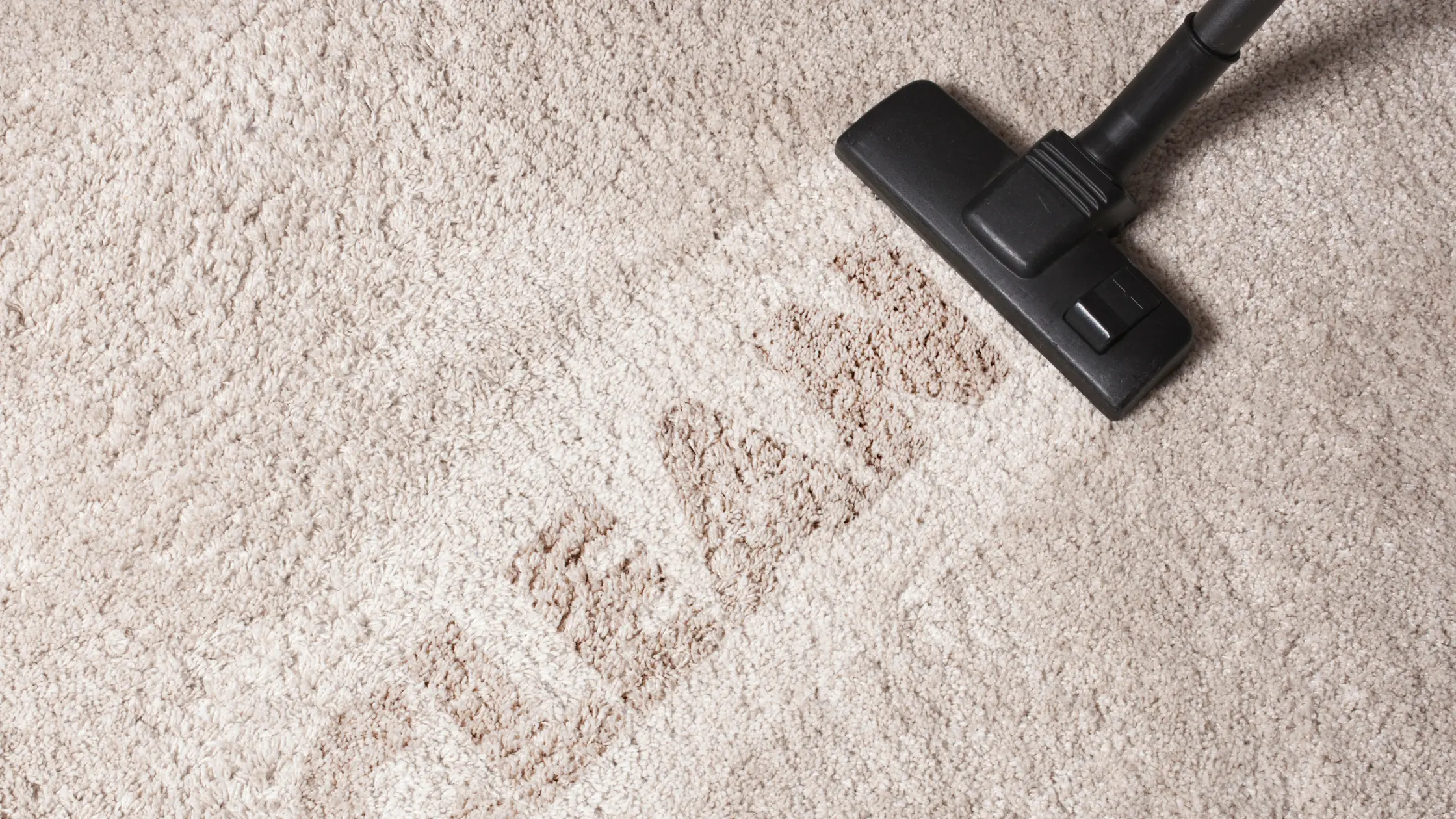 Carpet Cleaning