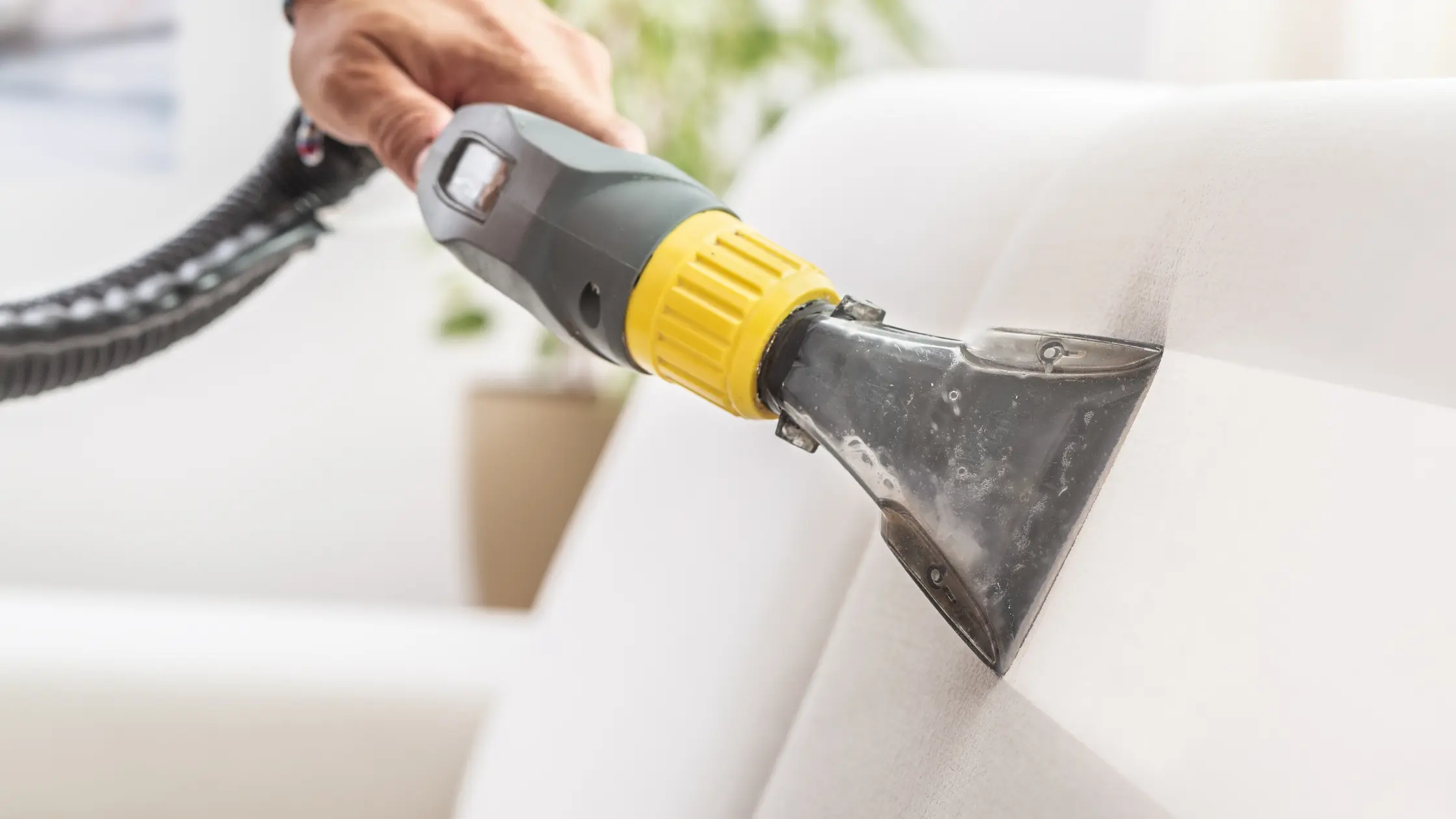 Upholstery Cleaning