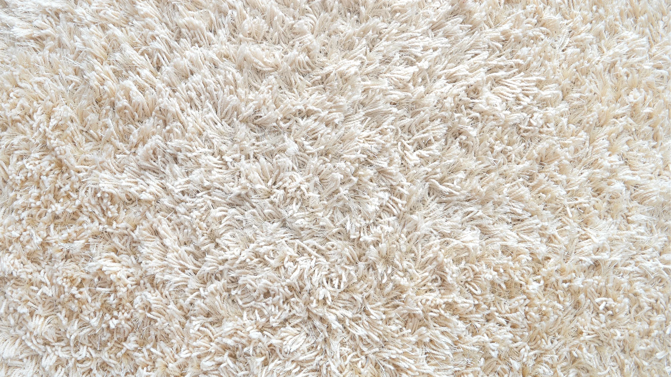 Should You Buy a New Carpet After It\'s Damaged by Water?