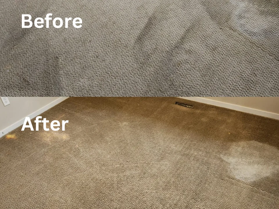 Our customers in Oakville love us because of our ability to make the dirtiest carpets squeaky clean.